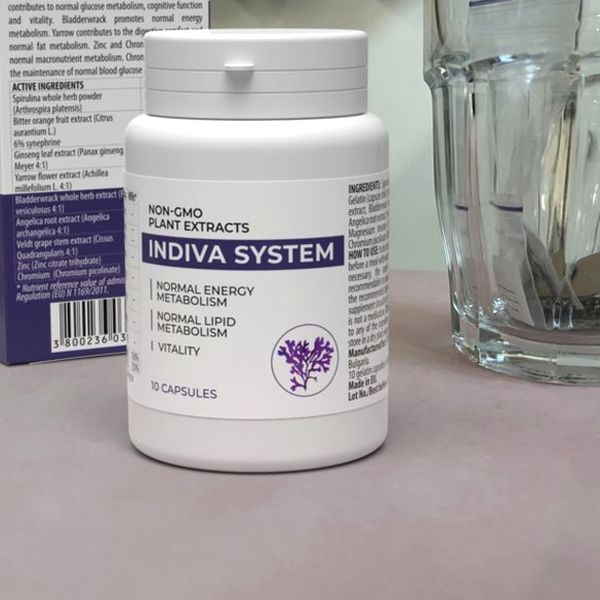Indiva System — immagine 4